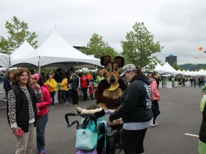 Image of 2017 Highmark Walk for a Healthy Community