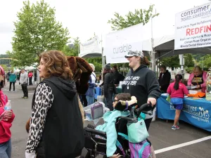 Image of 2017 Highmark Walk for a Healthy Community